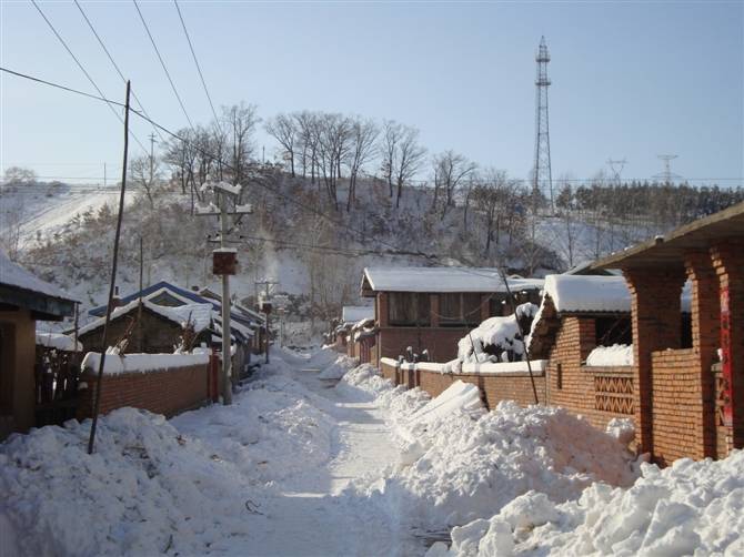 河南农村冬天图片图片
