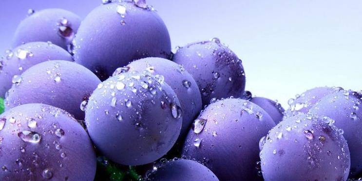 人群|聪明人夏天都吃葡萄,能养血美容,安神助眠,养胃健脾,早知早好