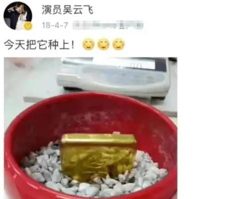 富二代|吴云飞：赵本山的富二代徒弟，曾投资吴京的电影，用金条当盆栽