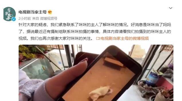 原创《当家主母》剧组虐猫事件最新进展!群演表示小猫是被电击致死的