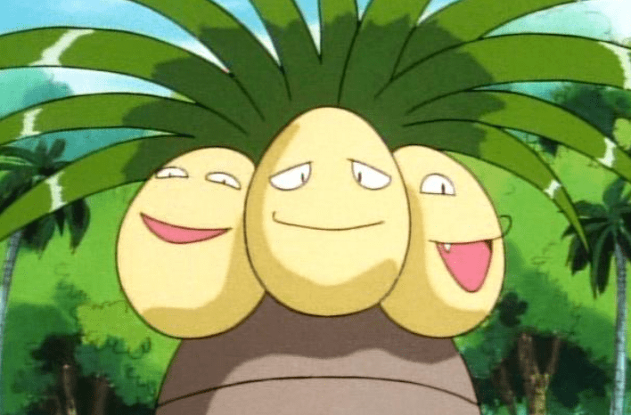 强念_椰蛋树_天然鸟