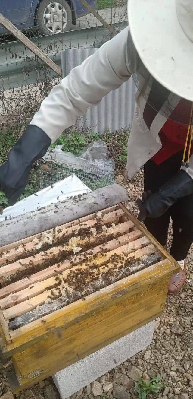 蜂蜜水|每天晨起喝1杯蜂蜜水,有4大好处,难怪大家爱不释手