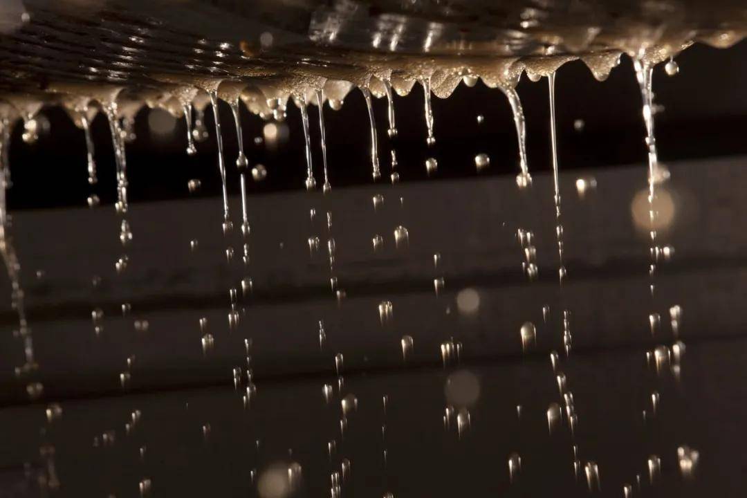 巴洛米洛|勃艮第精品家族酒庄，安慕父子&amp;泊索父子，巴洛米洛&amp;文森特吉拉丹！