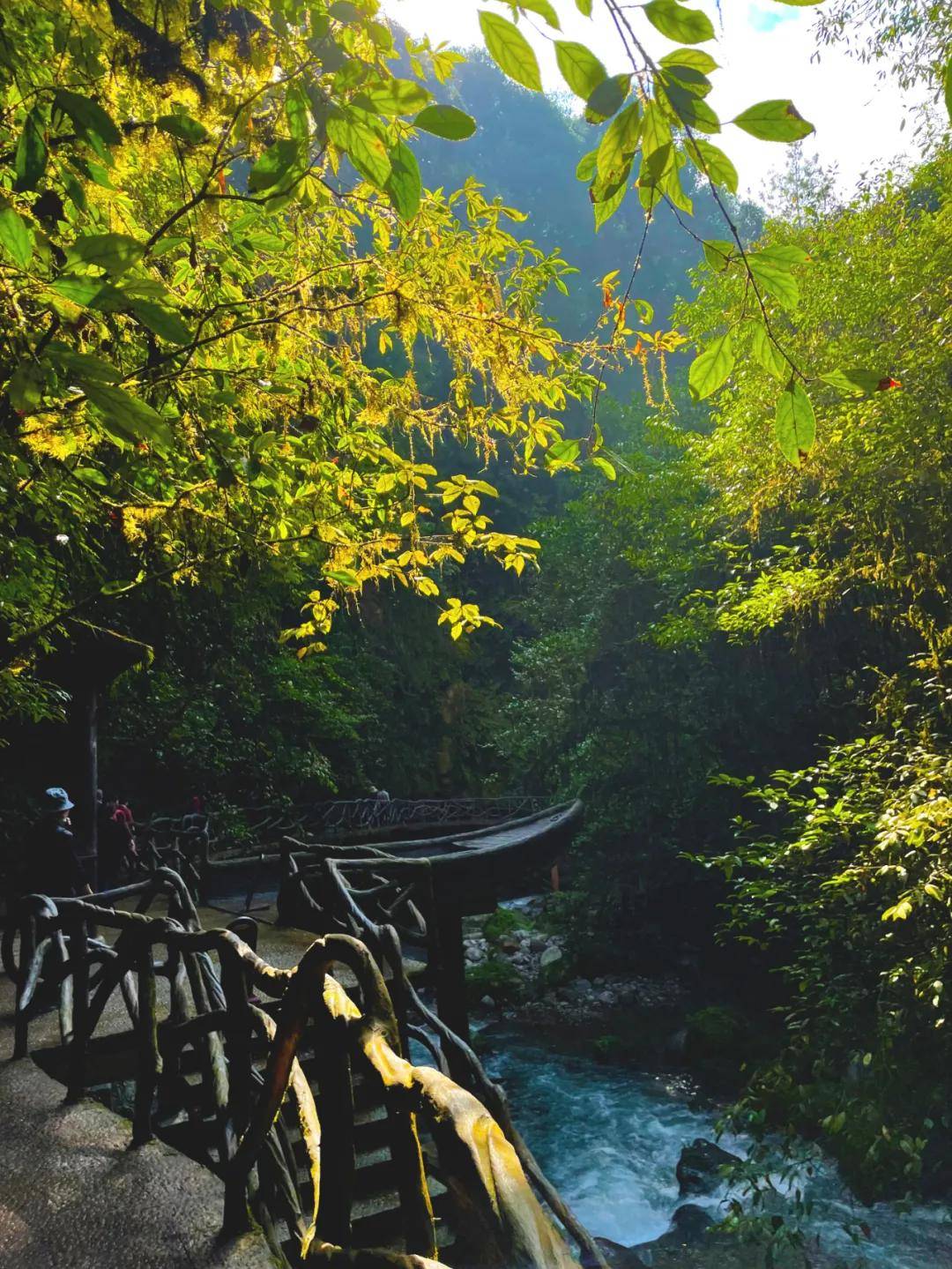 为什么都说冬天总要来一次巴山大峡谷呢?