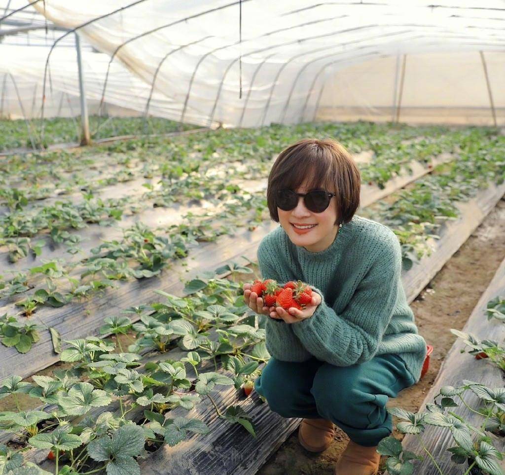 庄园 孙俪打卡水果庄园，穿卡通卫衣配紧身裤打扮年轻，偷吃柿子太可爱