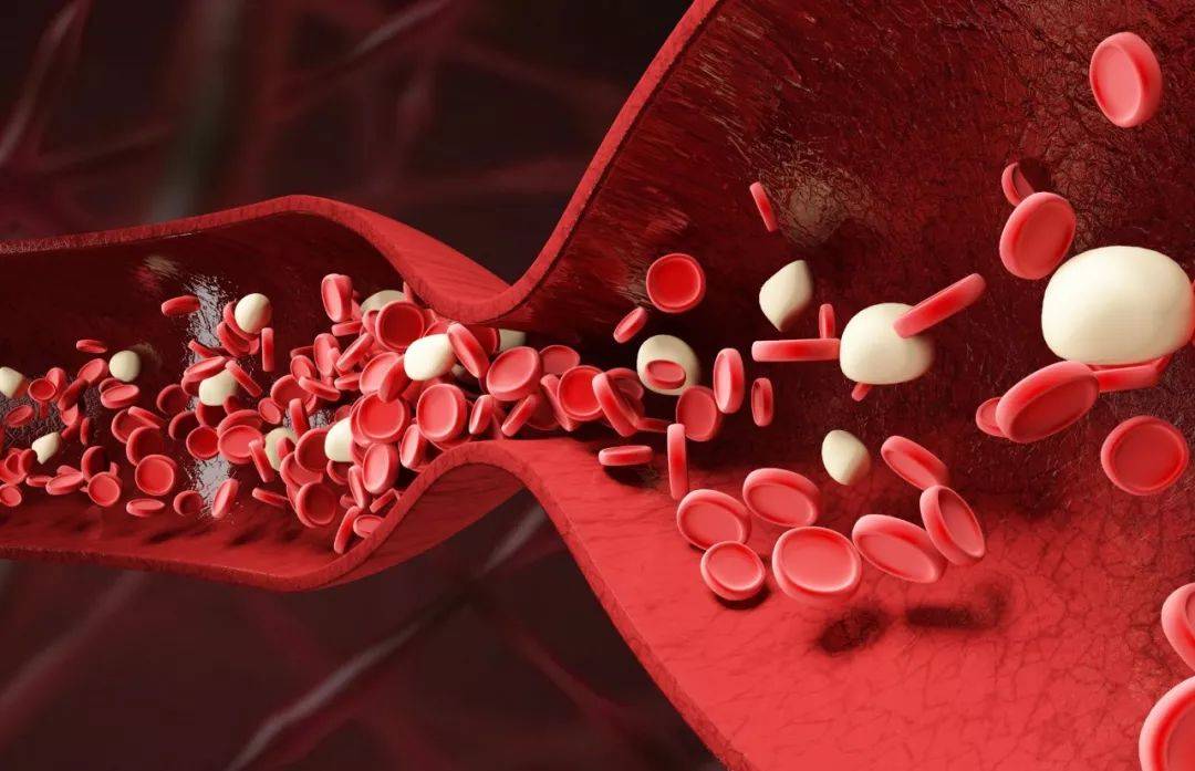 原创人到中老年多喝点酒能活血化瘀你可能听错了不如多做这2件事