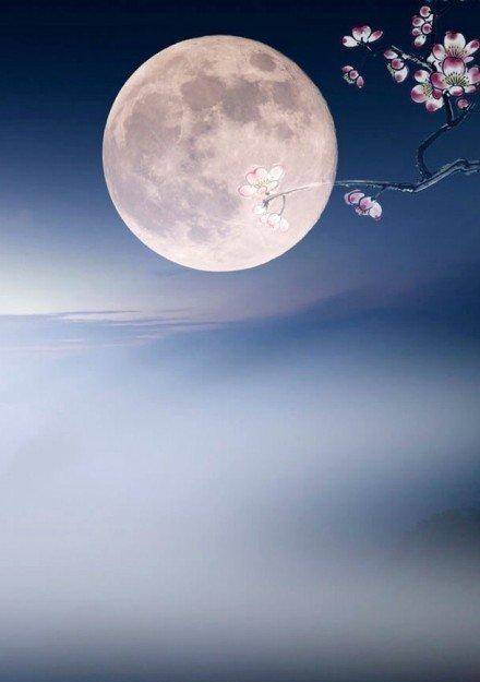 人有悲欢离合月有阴晴圆缺的下一句是什么 15cf783a0a904e71ada7fd256dbfa78d.jpeg