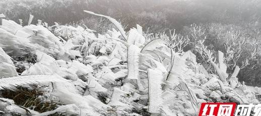 麻阳西晃山：冰花冰凌奇景 熠熠生辉