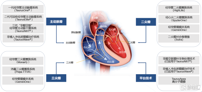 眼光|沛嘉医疗-B（9996.HK）：引领瓣膜领域创新方向，国际化布局极具前瞻眼光