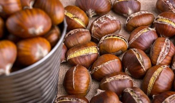 吃什么东西能长胃粘膜 ecb7afe8c62b4fa0a0c7cb647034576e.jpeg