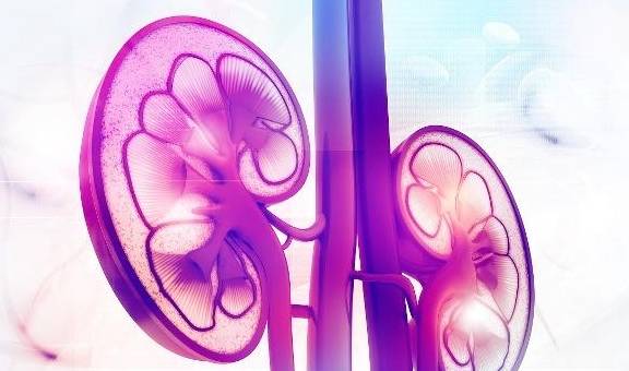 症状|高尿酸患者,身体若有3个“变化”,可能是肾衰竭早期信号