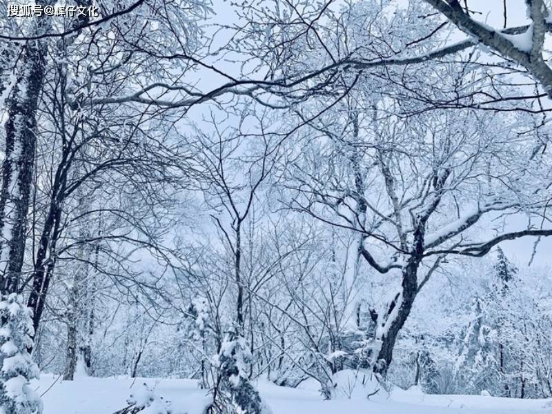 千里冰封,萬里雪飄,帶你感受冰天雪地_雪鄉_鏡泊湖_亞布力滑雪場