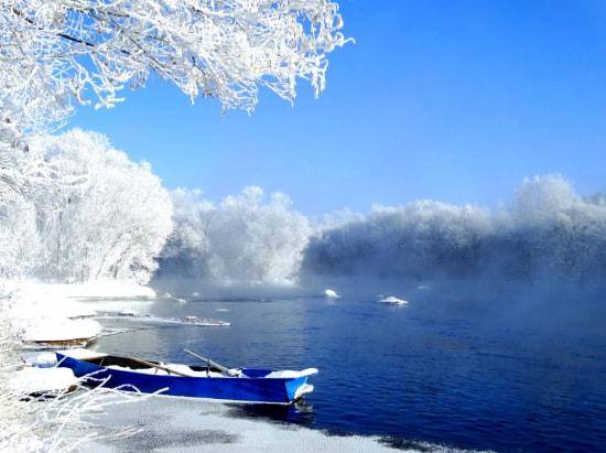黑龙江雪景 雾凇图片