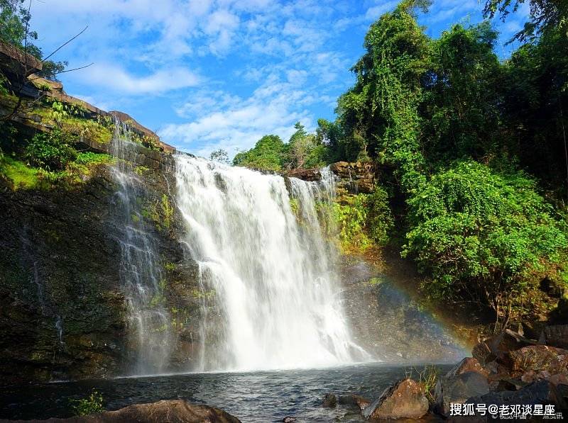 生肖龙属龙之人在,一生锐意进取,不管是学业还是以后的事业都有可圈可