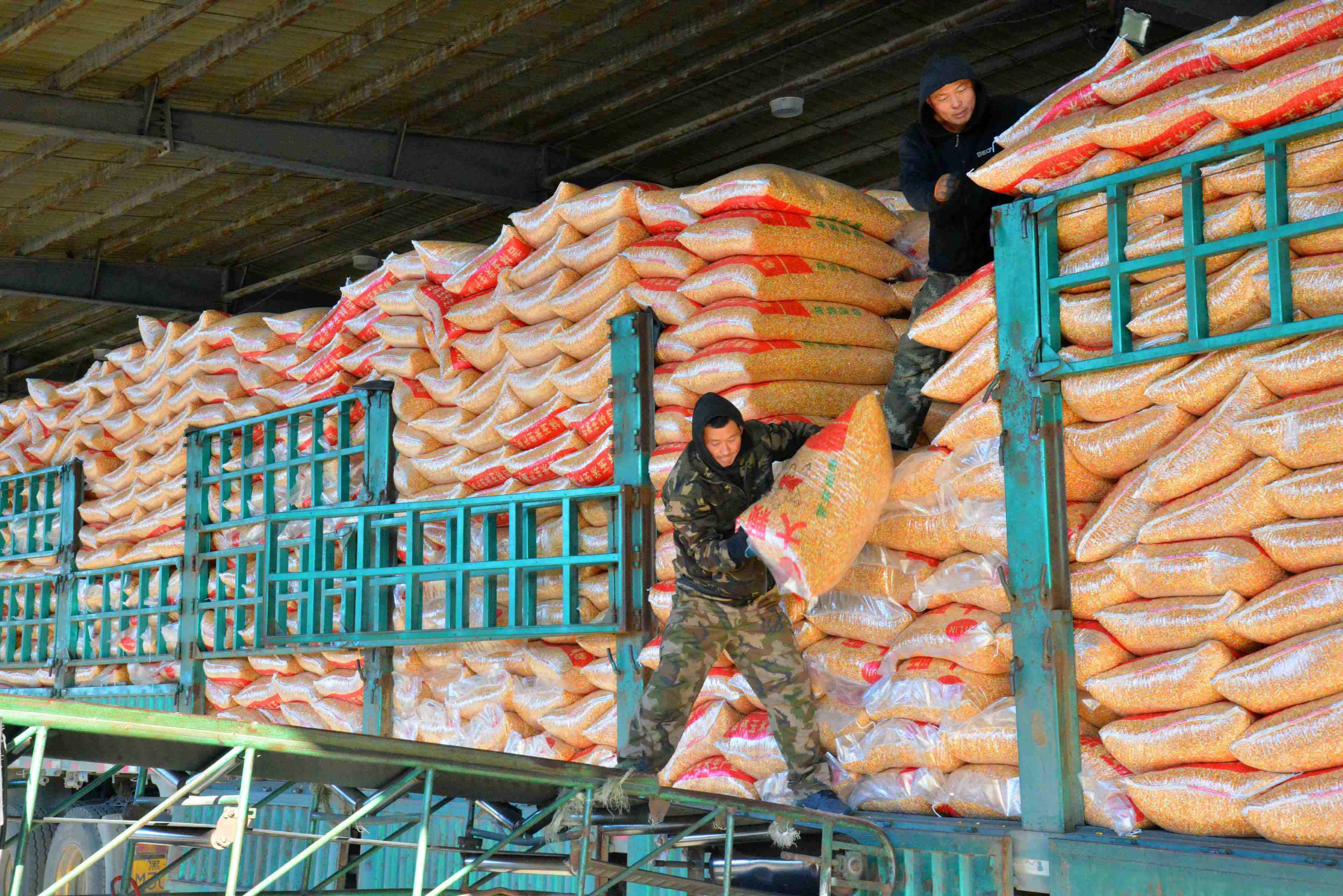 畅通"北粮南运"大通道,沈铁11月以来发运粮食415万吨