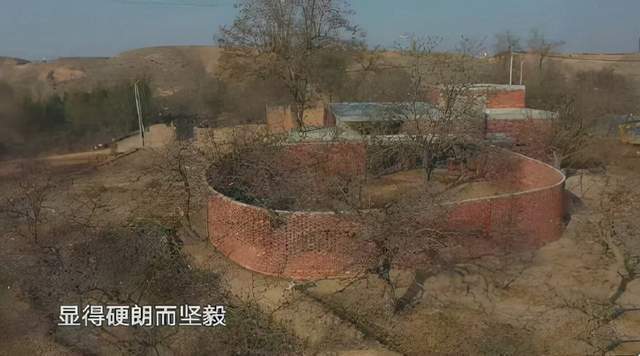 艺术|不是我不行,而是你不懂,现在的“艺术家”都那么傲慢了?