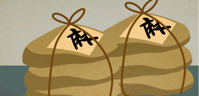 据陈教授说,麻沸散的创造者其实并不是华佗,印度在更早就已经存在了