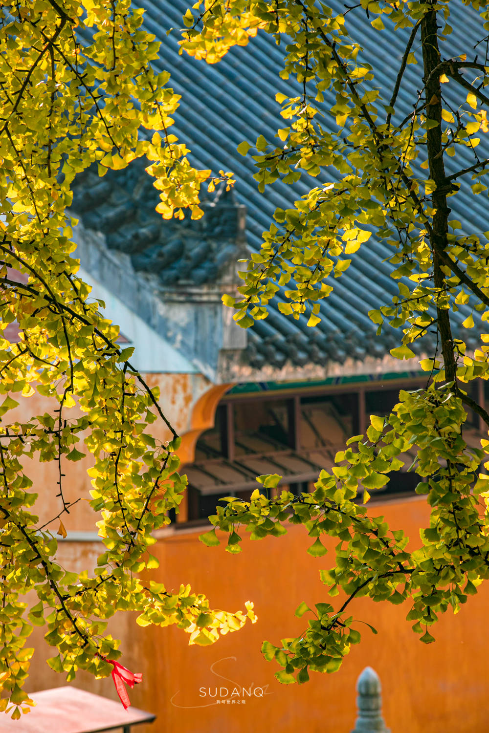 佛门|武汉的这座古寺曾被10位皇帝护持过，已有1600多年历史，门票10元