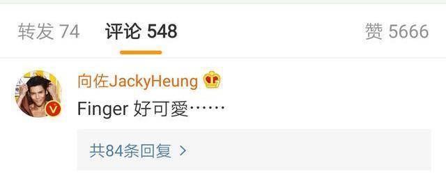 郭碧婷|郭碧婷近照曝光，狗狗遮孕肚，面色红润心情好