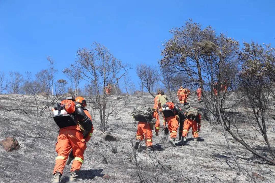 广东揭阳普宁市大南山街道田坪村附近大南山山系发生森林火灾
