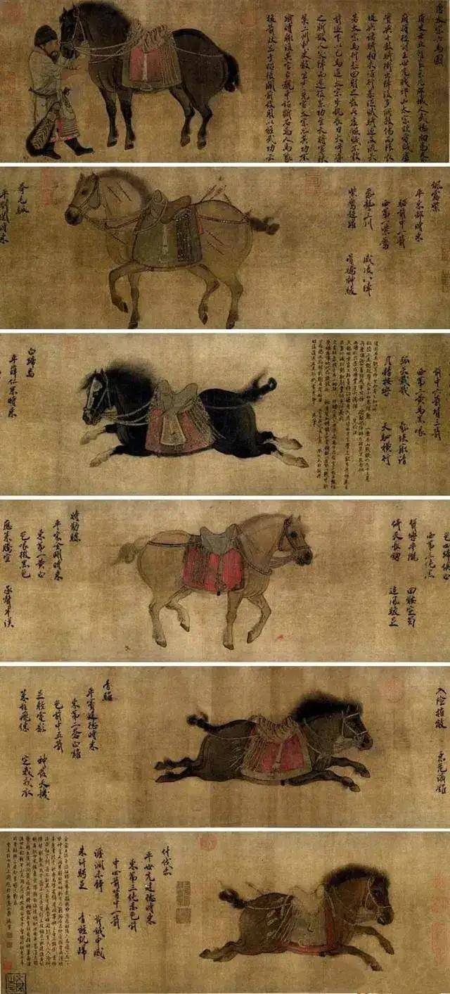 美育系列之昭陵六骏_李世民_唐太宗_陕西省礼泉县