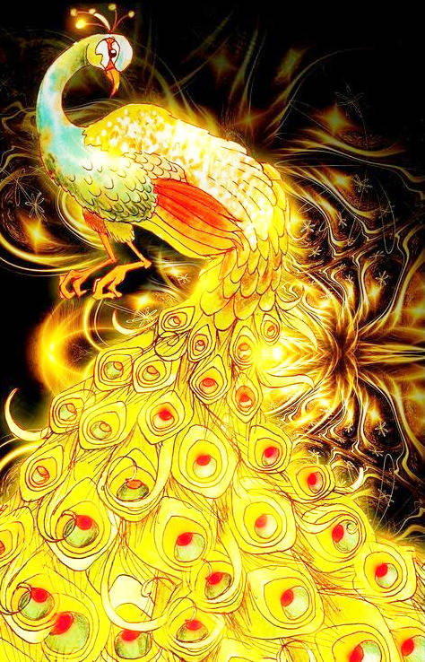 原创心理测试哪幅孔雀图最美测出你往后的人生里有什么福运降临