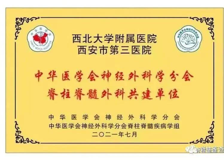 脊柱|西北大学附属医院?西安市第三医院神经脊柱外科折冠夺魁