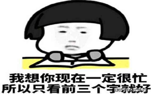 b6da6979505645228b697c9406f335e9.jpeg