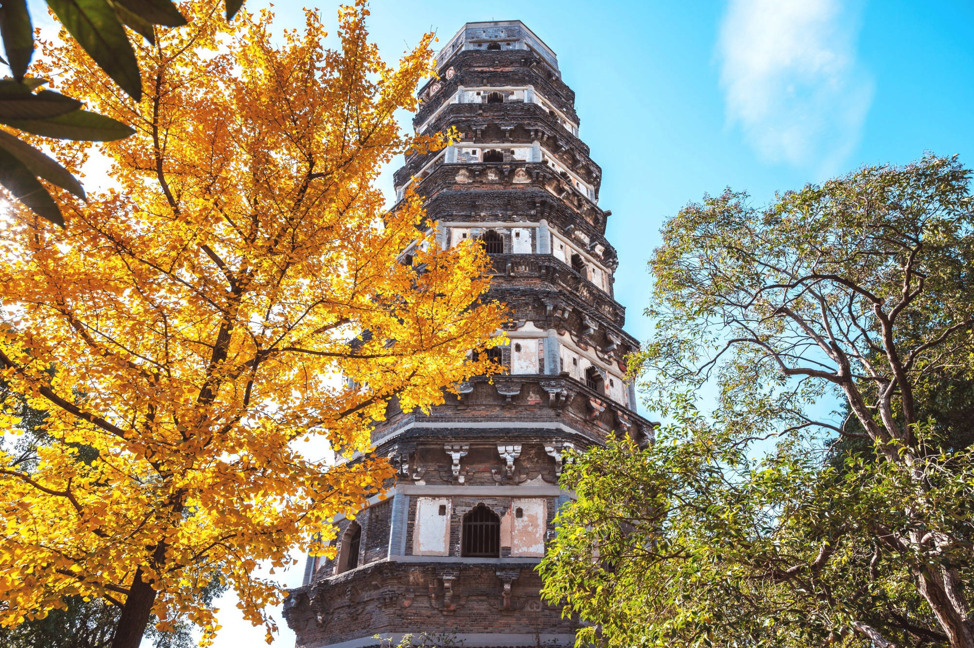 探访苏州虎丘景区,不为那千年秘密,藏于此的非遗原来可以这么美_剪纸