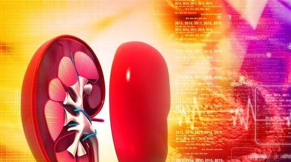 治疗|降蛋白延缓肾功能，预防尿毒症，有3种方法可以选择