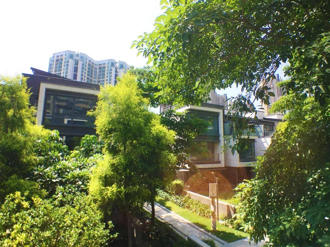 佛山千灯墅官方图文简介必看篇