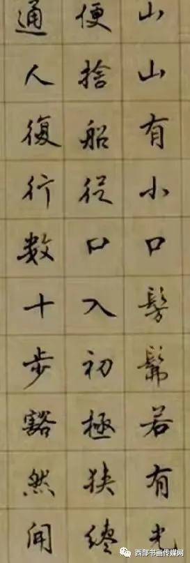 田桦书法家作品欣赏