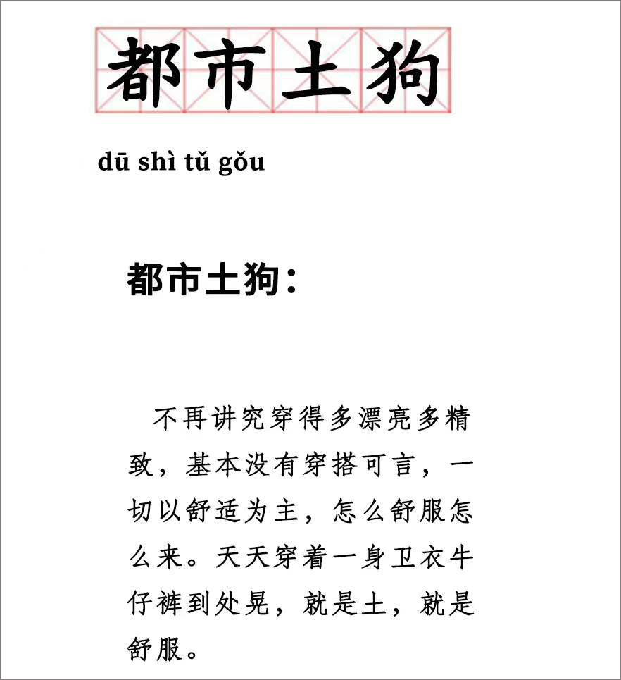 材质 最近火上热搜的“都市土狗风”，到底是什么风格？