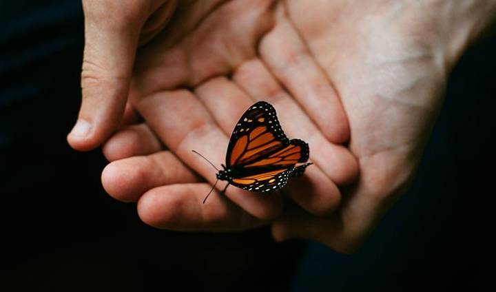 治疗|42岁乙肝小三阳,担心肝硬化,她终鼓起勇气复查,放下了心理重担