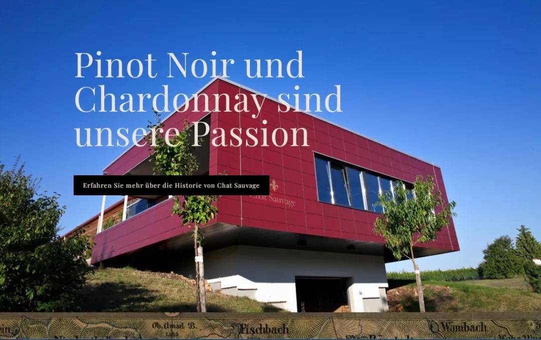 Weingut|德酒再度来袭，野猫酒庄（Weingut Chat Sauvage）！