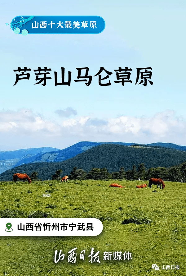 生机|海报丨十大最美草原，山西等你来看看