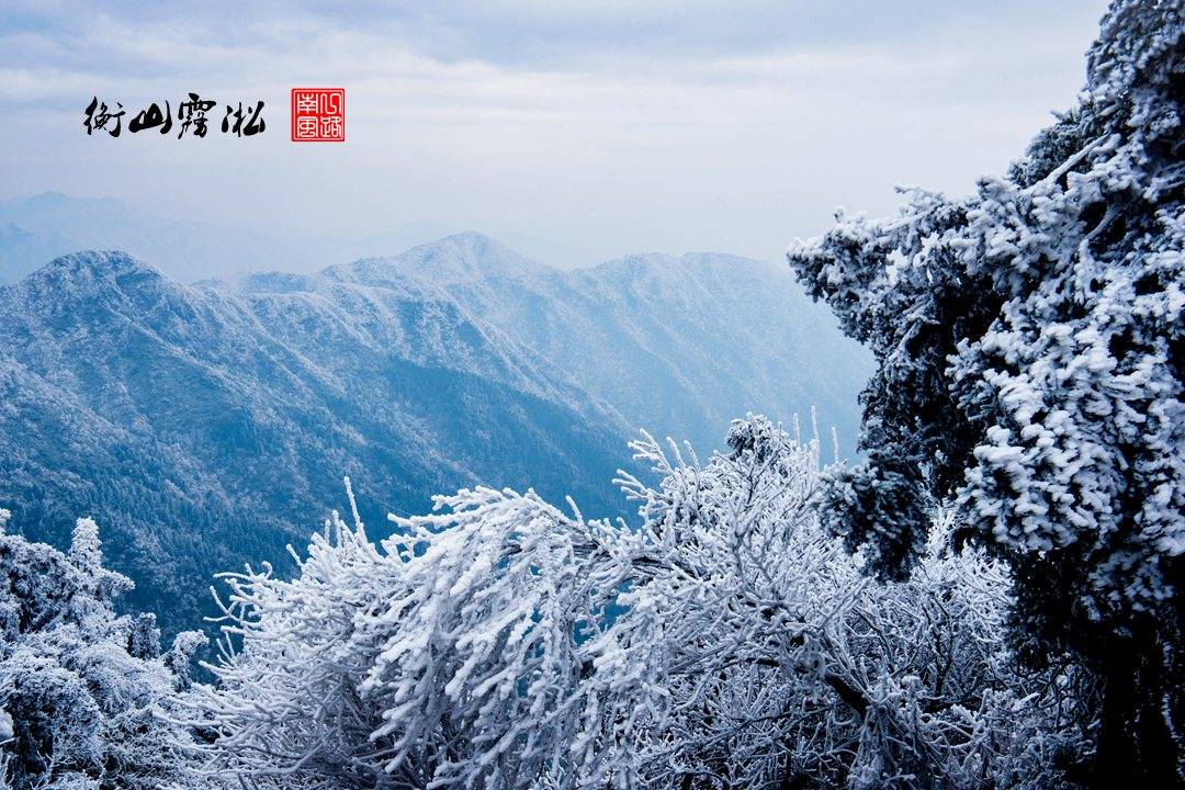 广东|湖南也能看到雾凇，就在南岳衡山，太美了！