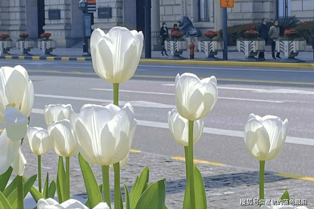 原创易出惊人美貌的星座天生丽质难自弃是人群中无法忽略的存在