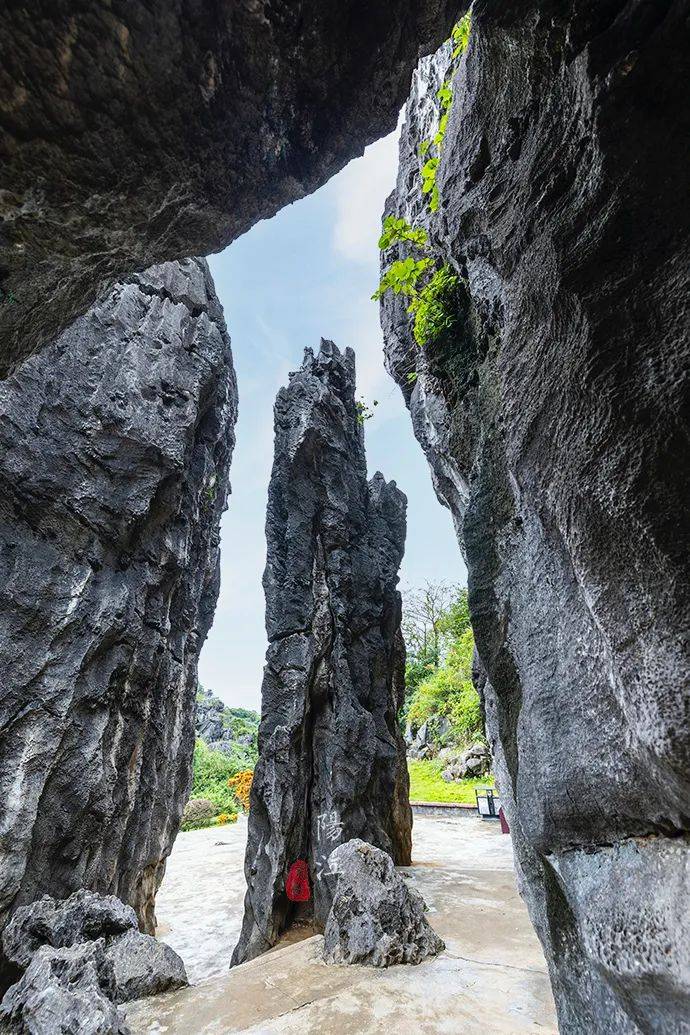 风景|广东“小桂林”有处石林，奇绝雄壮，20多部影视大片在这里取景