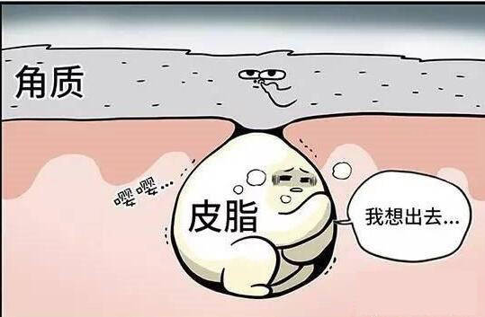 毛囊“换季就变丑”？容貌焦虑的我有多难，你知道吗~
