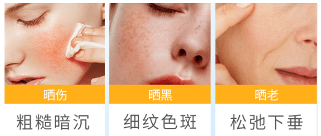 主动谁给你直面阳光的勇气？兰瑟小白盾主动请缨阻挡“黑势力”