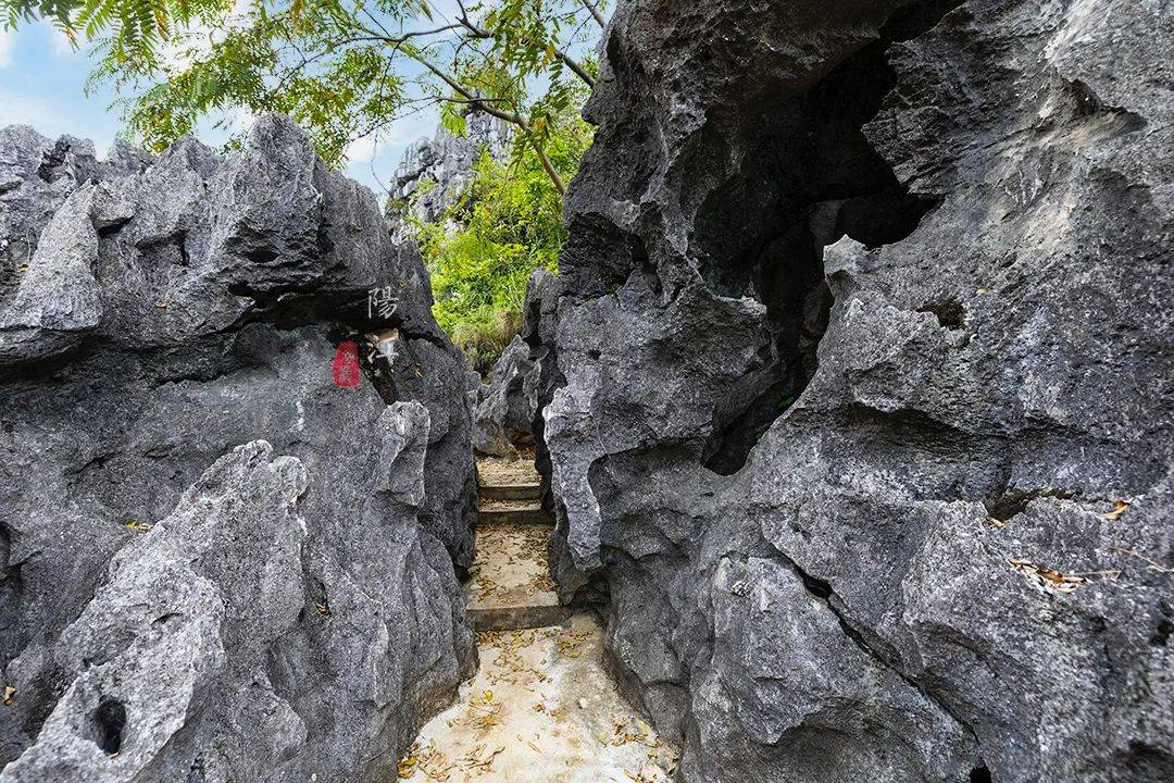 风景|广东“小桂林”有处石林，奇绝雄壮，20多部影视大片在这里取景