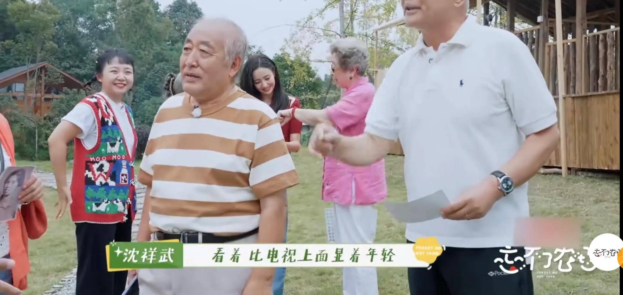 什么|佟丽娅综艺开播前花样百出，黄渤长得显老什么体验，颜值略胜杨迪