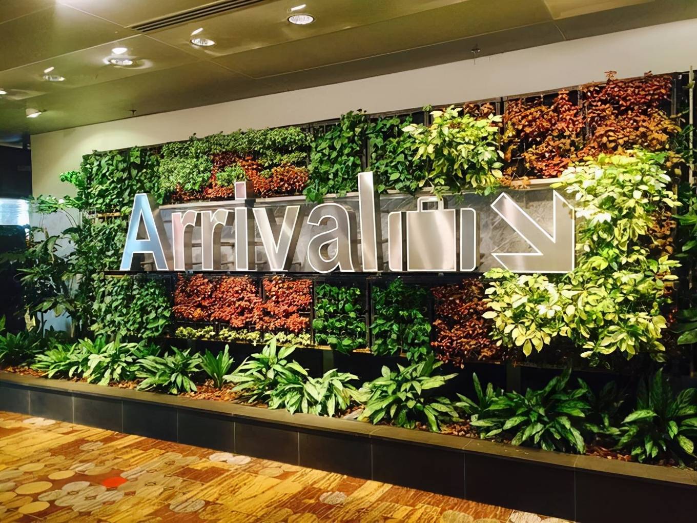 康英绿氧| 打造生态办公环境,绿植墙了解一下_植物_自然力_模块