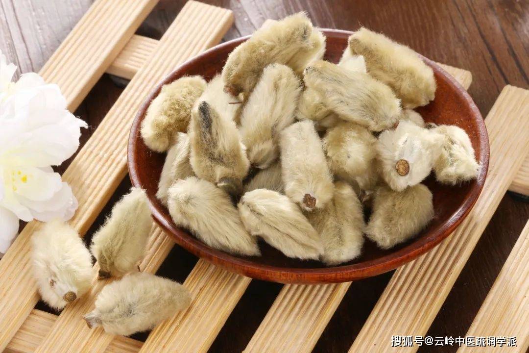 《神农识药》发散风寒药之辛夷_作用_一定的_阳明