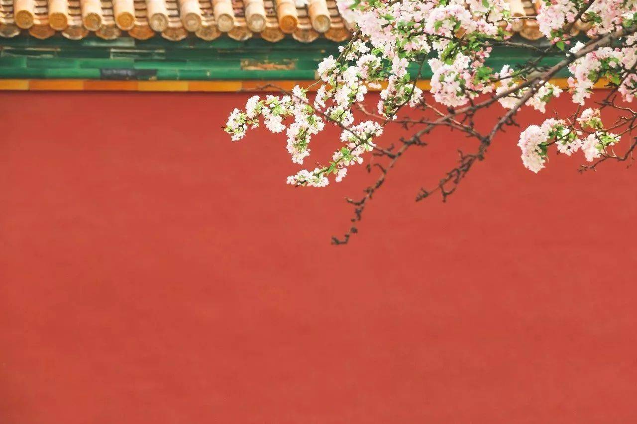 陪了你三年等了你三年你会选择哪个人