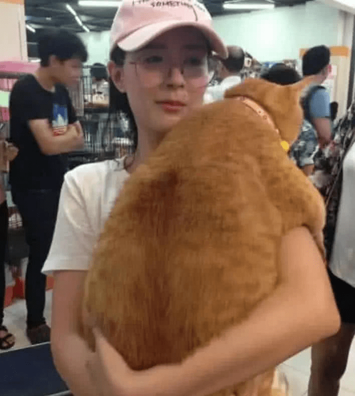 回头率小姐姐带着猫咪逛超市, 回头率百分之百, 网友: 现实版加菲猫!