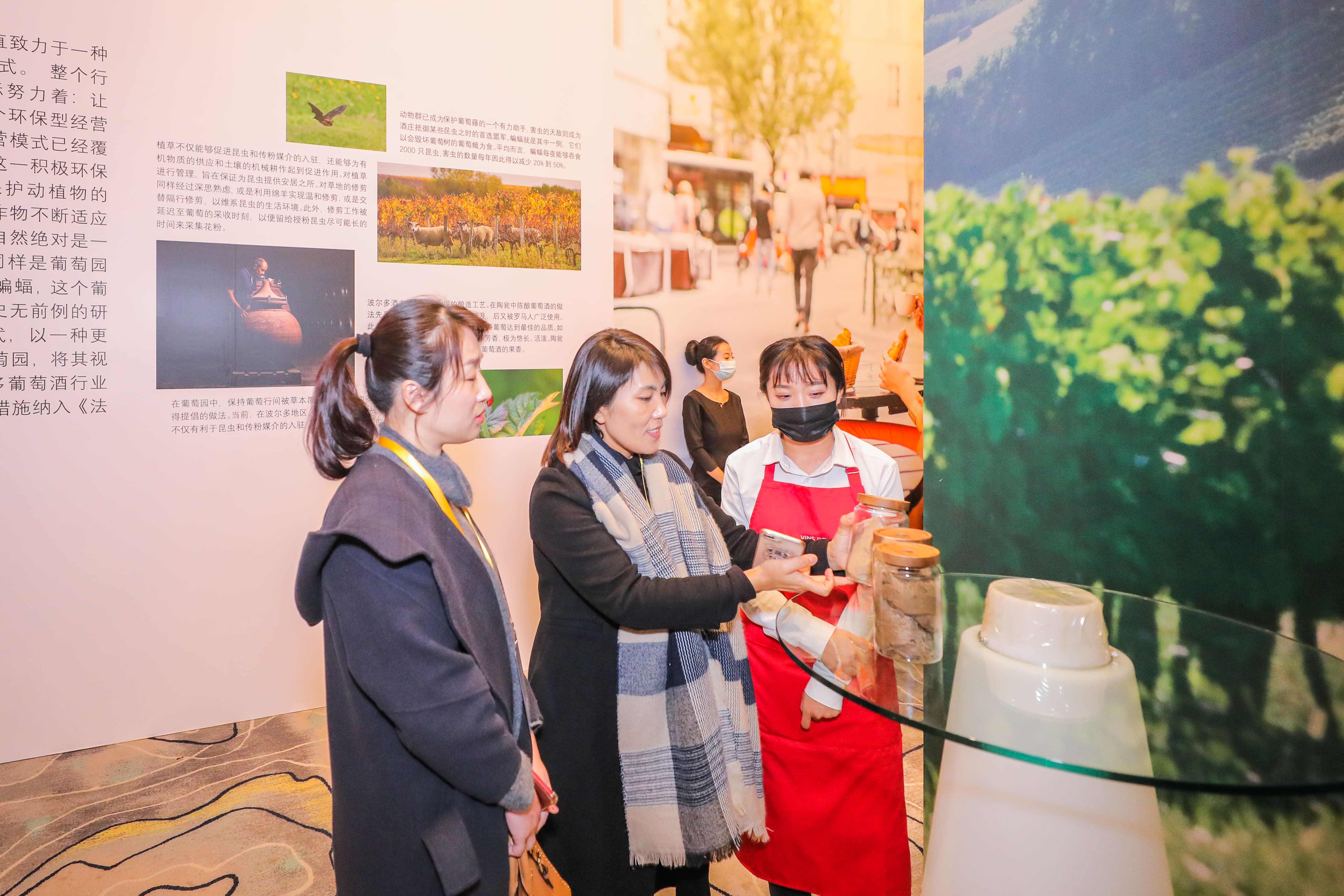 酿造|“WeMakeBordeaux 2021”巡展|波尔多葡萄园沉浸式体验之旅登陆岛城