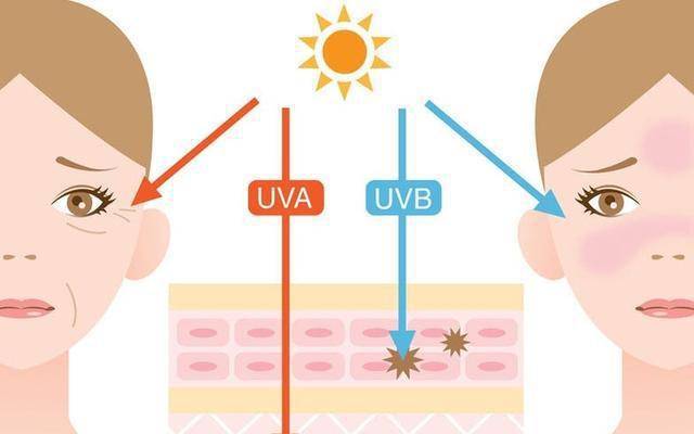 波长冬天有必要防晒吗？对照“紫外线指数”防晒，拒绝“过度防晒”