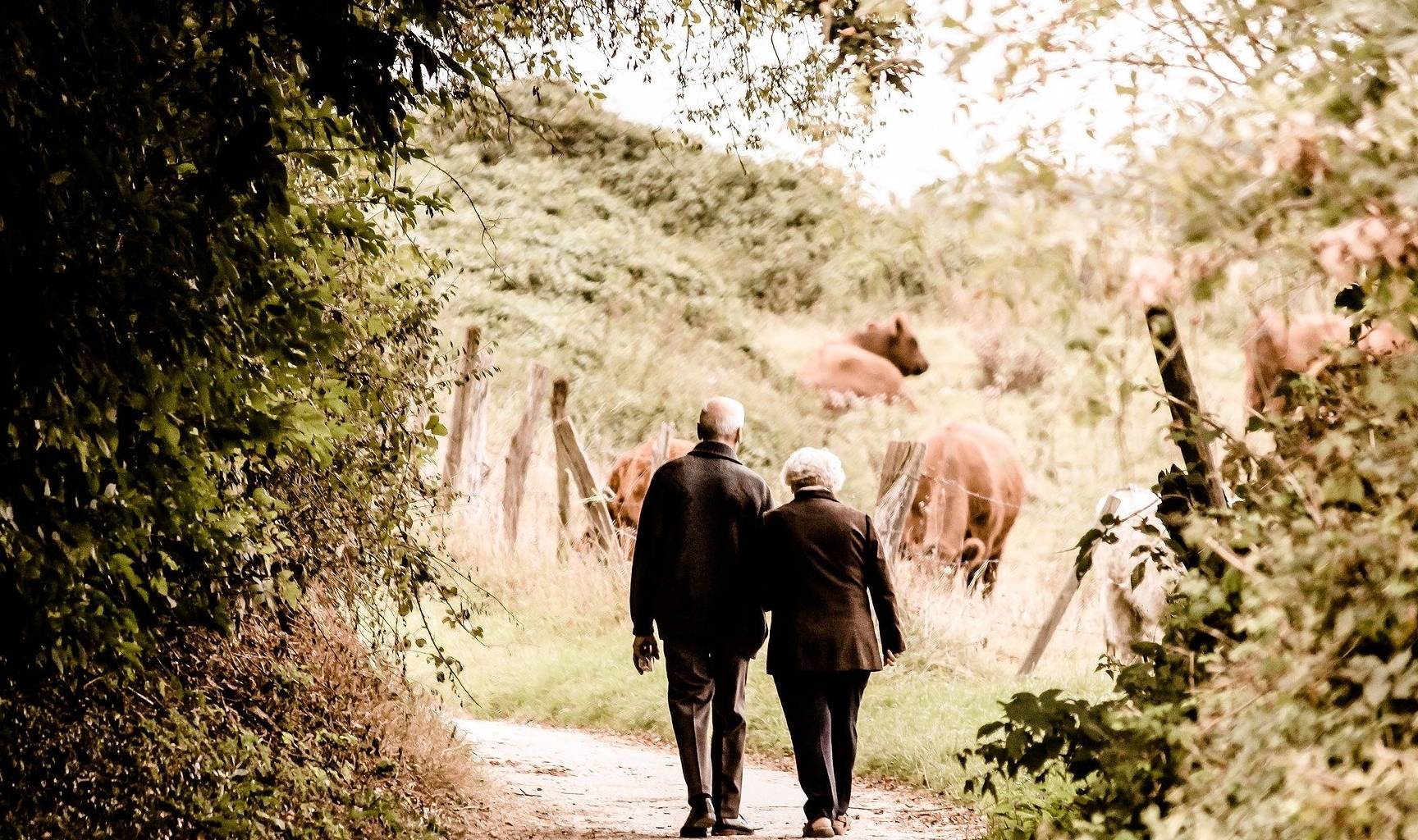 什么样的夫妻才能过好一生 182eef107ac94ac49270ff4375704537.jpeg